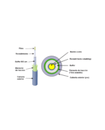 Fibra Monomodo 12 hilos Indoor/Outdoor 900um Tight Buffered Aramid yarn LSZH G657A2 50 Metros, LANTEK LTK-FIBSM12 - Imagen 2